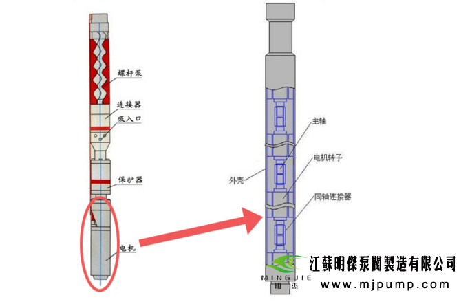 螺杆泵